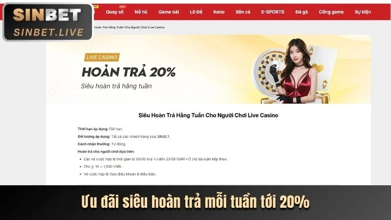Đặt Cược & Quay
